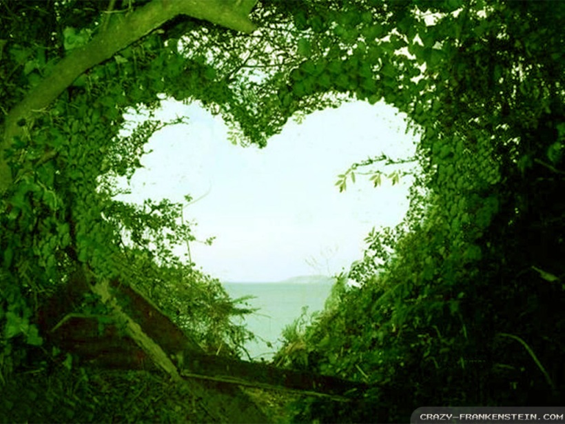 beautiful-love-nature
